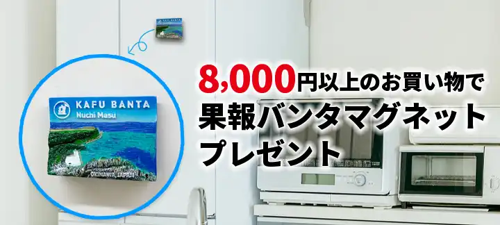 セール特集 プレゼント