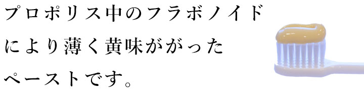 薬用歯磨きNUCHIMU(ヌチム)
