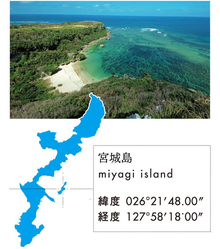 宮城島