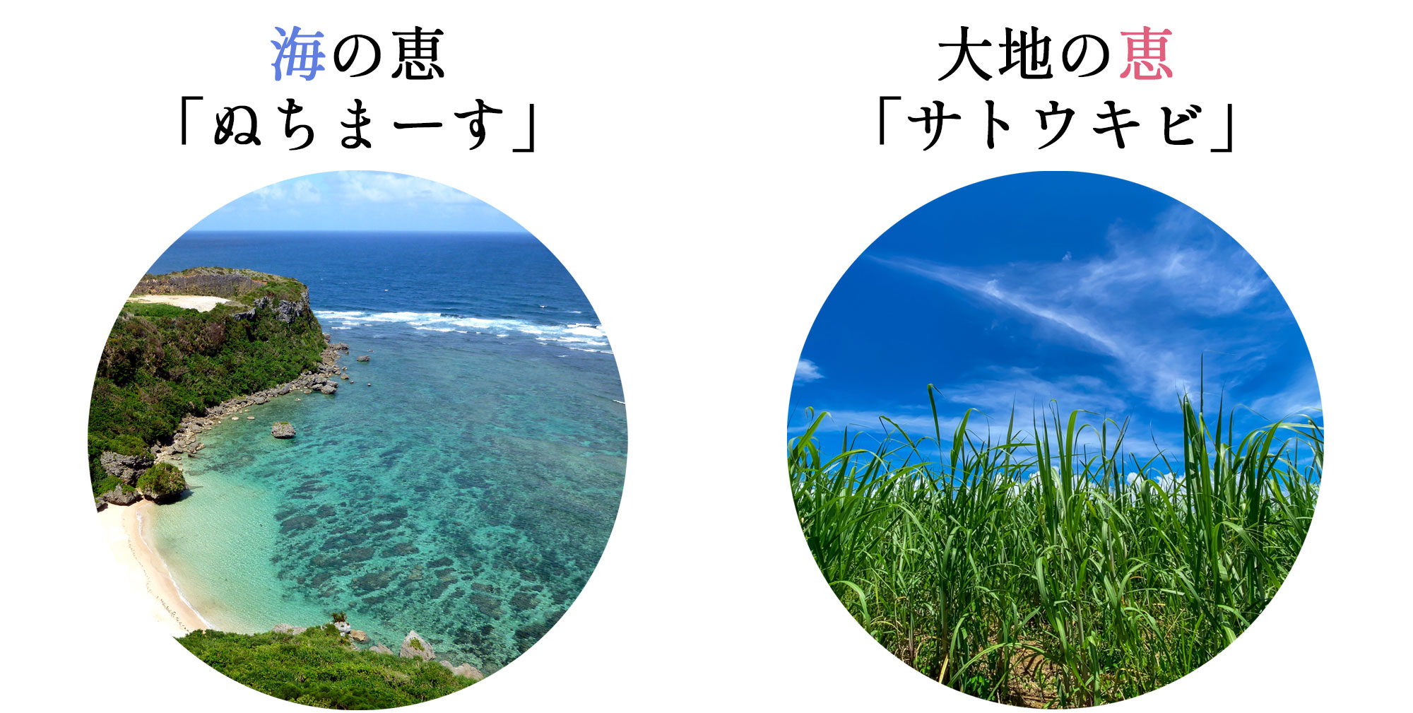 沖縄のぬちまーす使用、塩黒糖です。