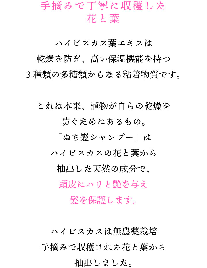 手摘みで丁寧に収穫した花と葉