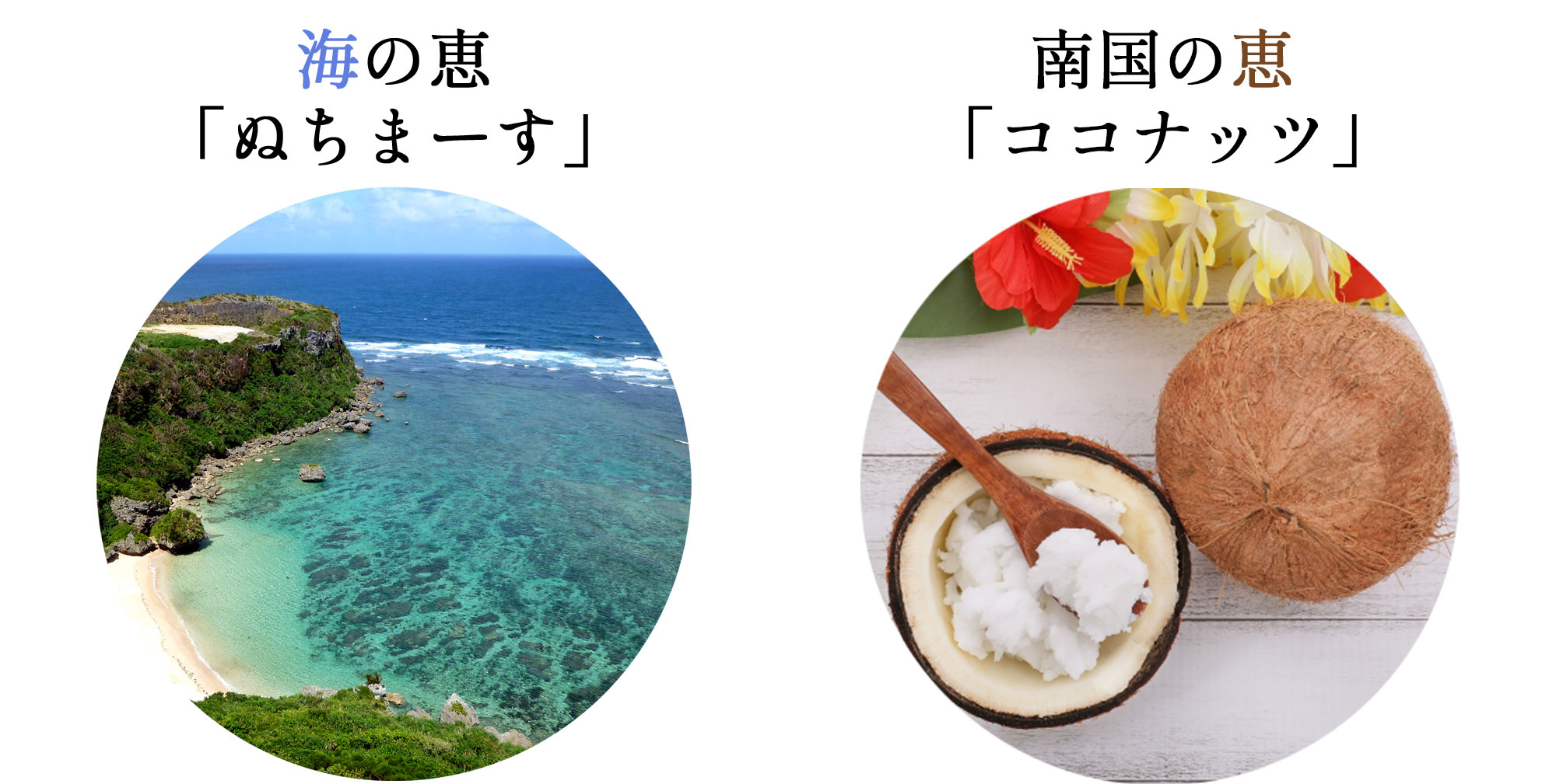おばぁのちんすこう、ぬちまーすの塩お菓子
